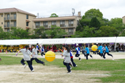 体育祭1